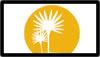 PALMETTO TREES