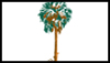 PALM