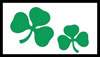 SHAMROCK