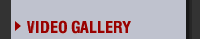 Video Gallery